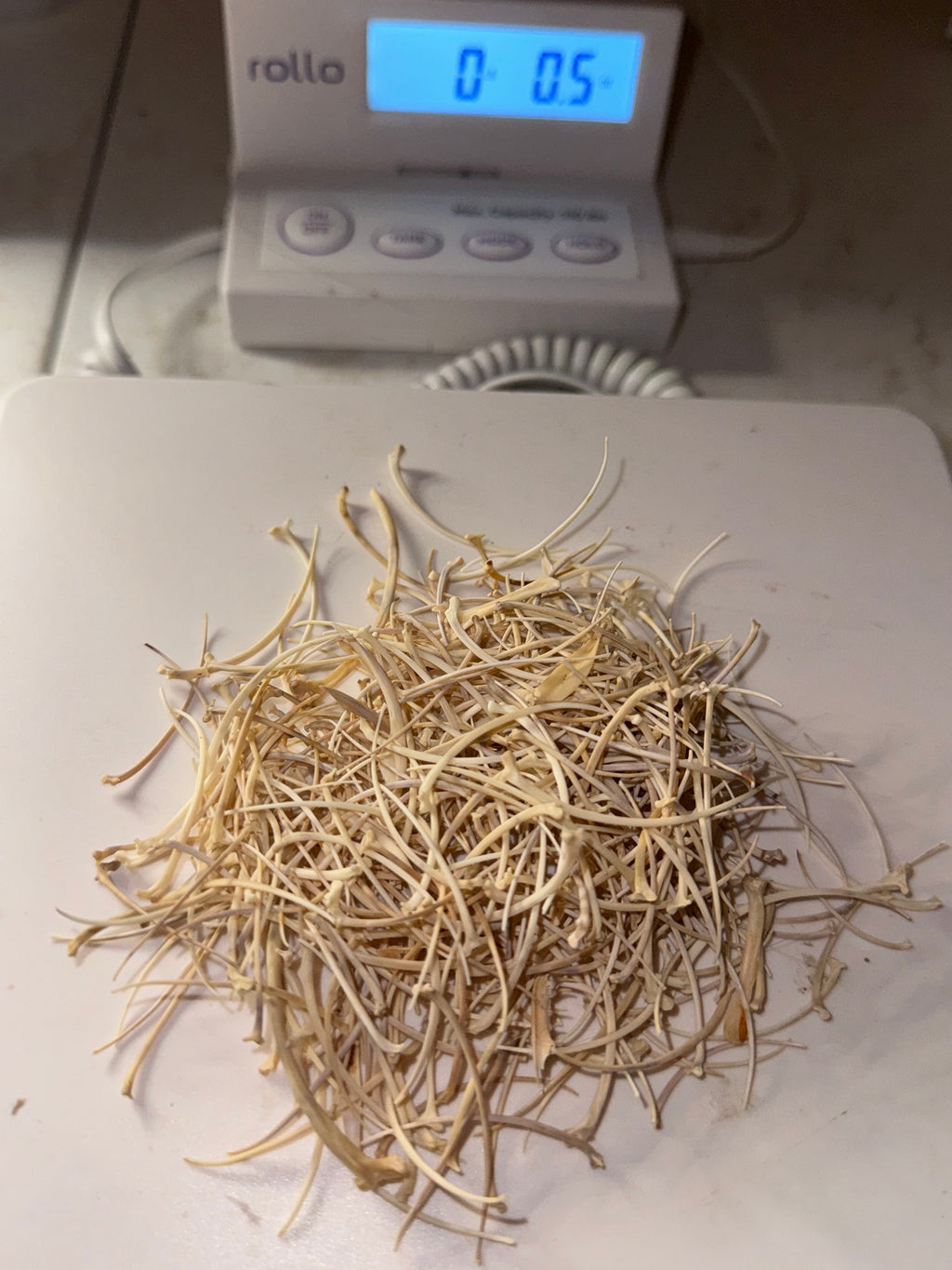 Small snake ribs ~.5oz bag