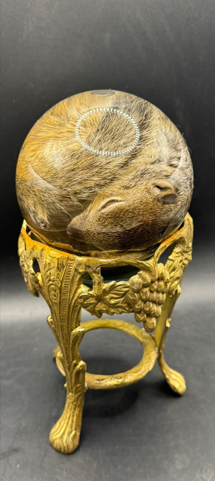Baby squirrel on vintage brass base
