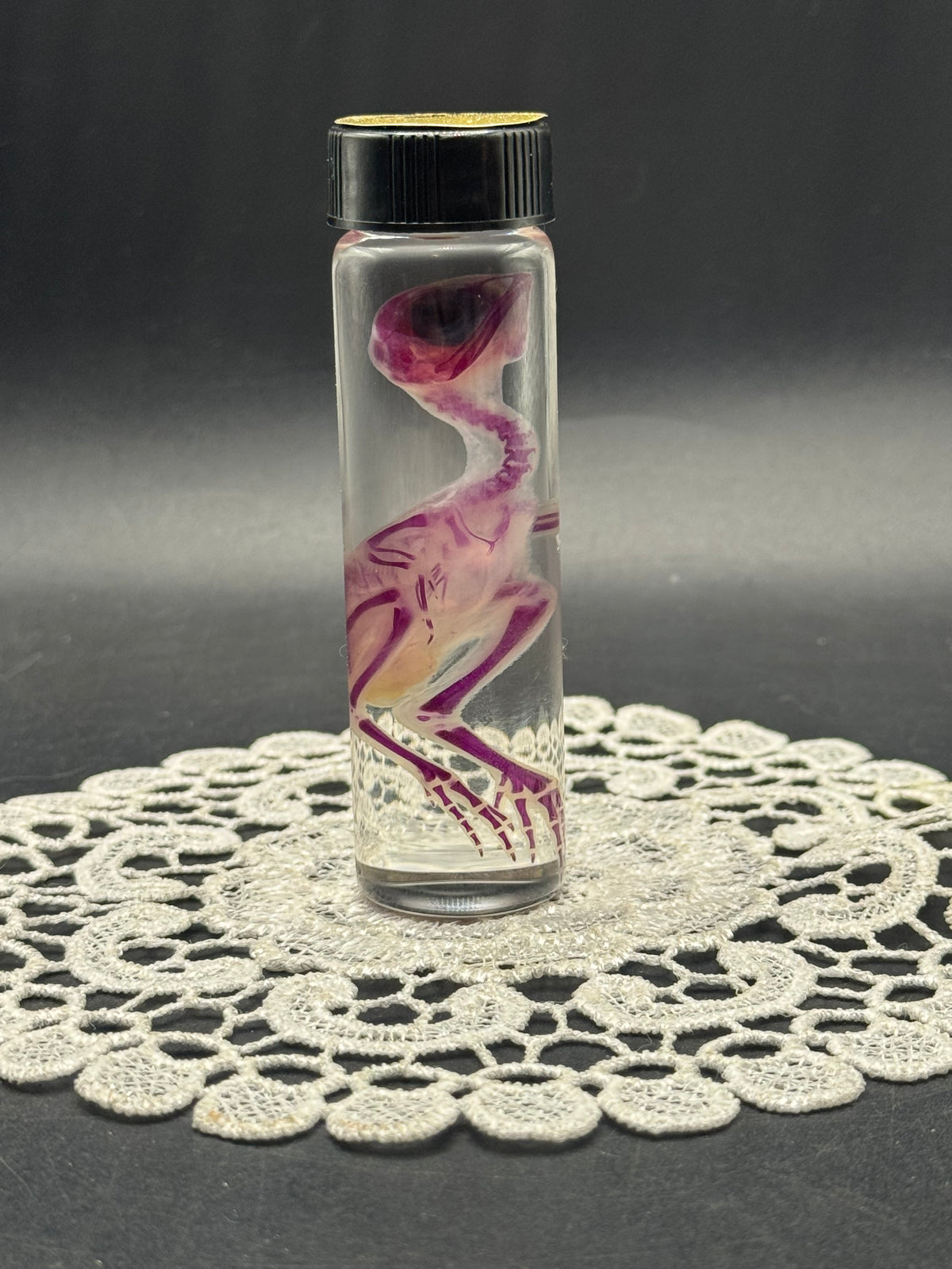 Diaphonized quail
