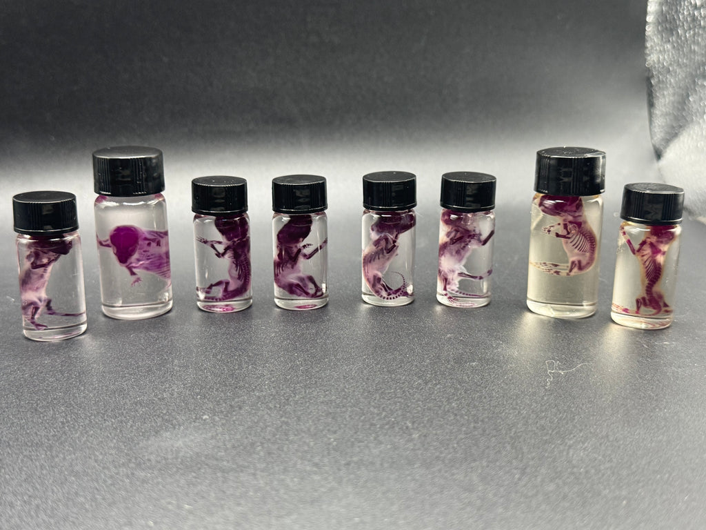 Diaphonized pinky mice