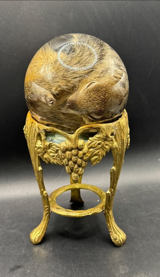 Baby squirrel on vintage brass base