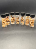 Jar O’ tentacles