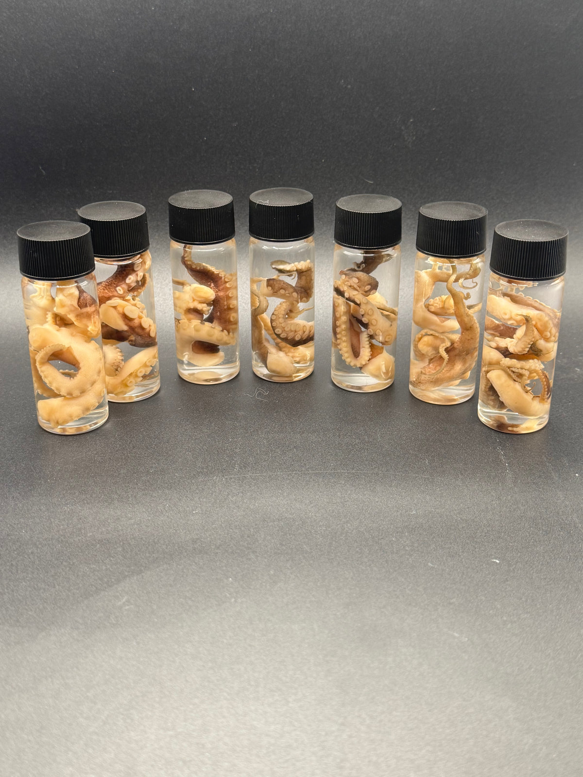 Jar O’ tentacles