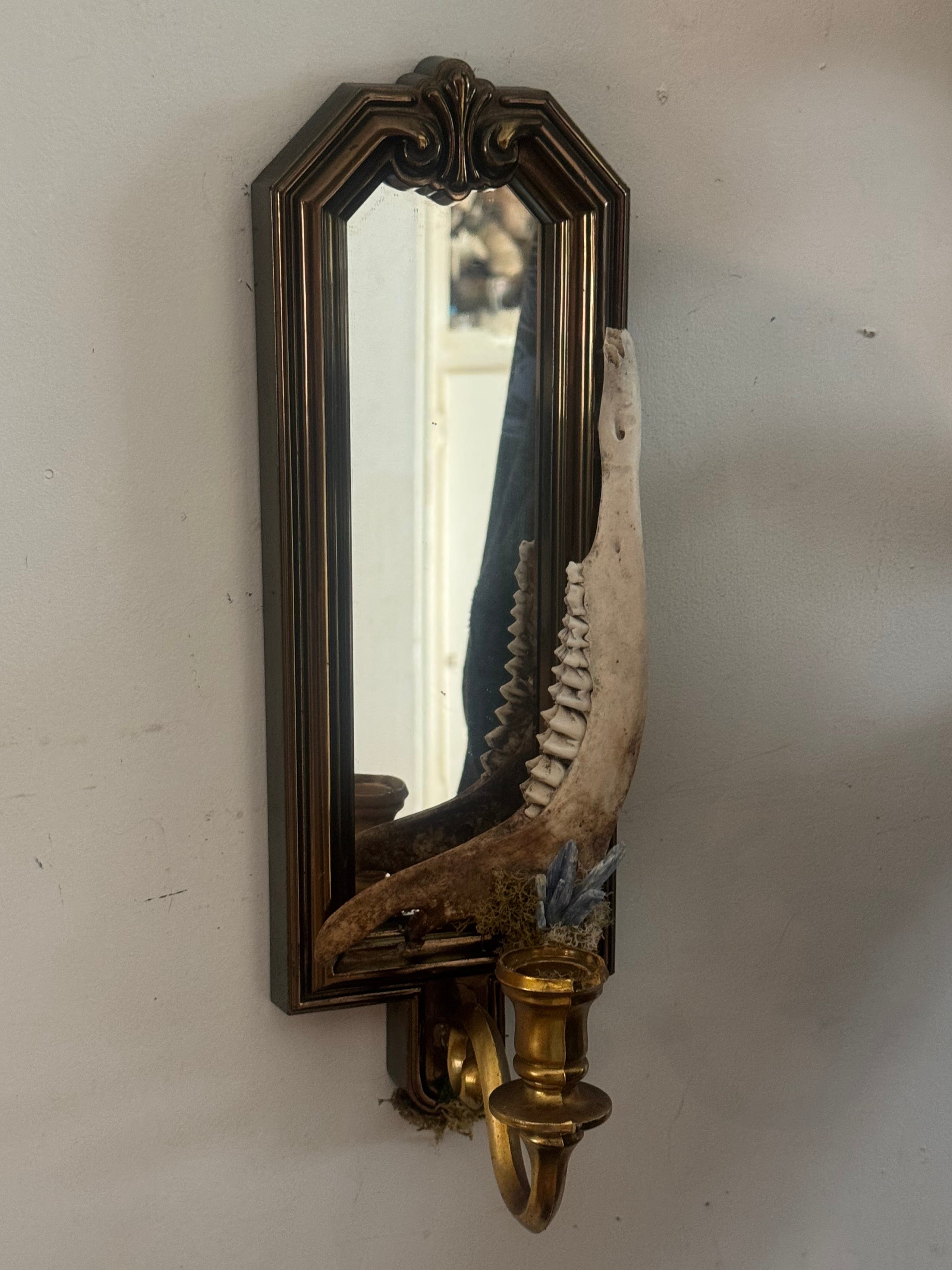 Deer jaw sconce decoration
