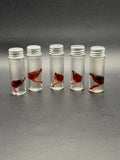 Diaphonized quail head/neck