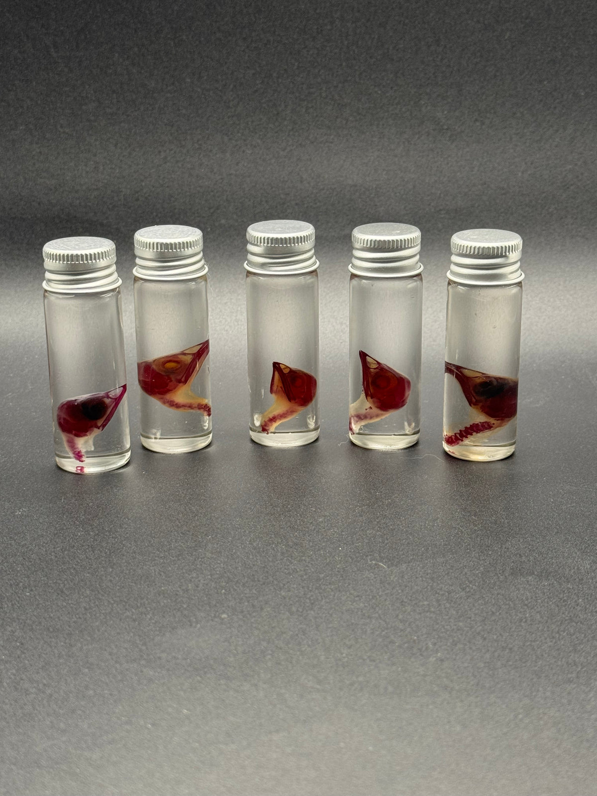 Diaphonized quail head/neck