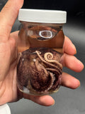 Octo wet