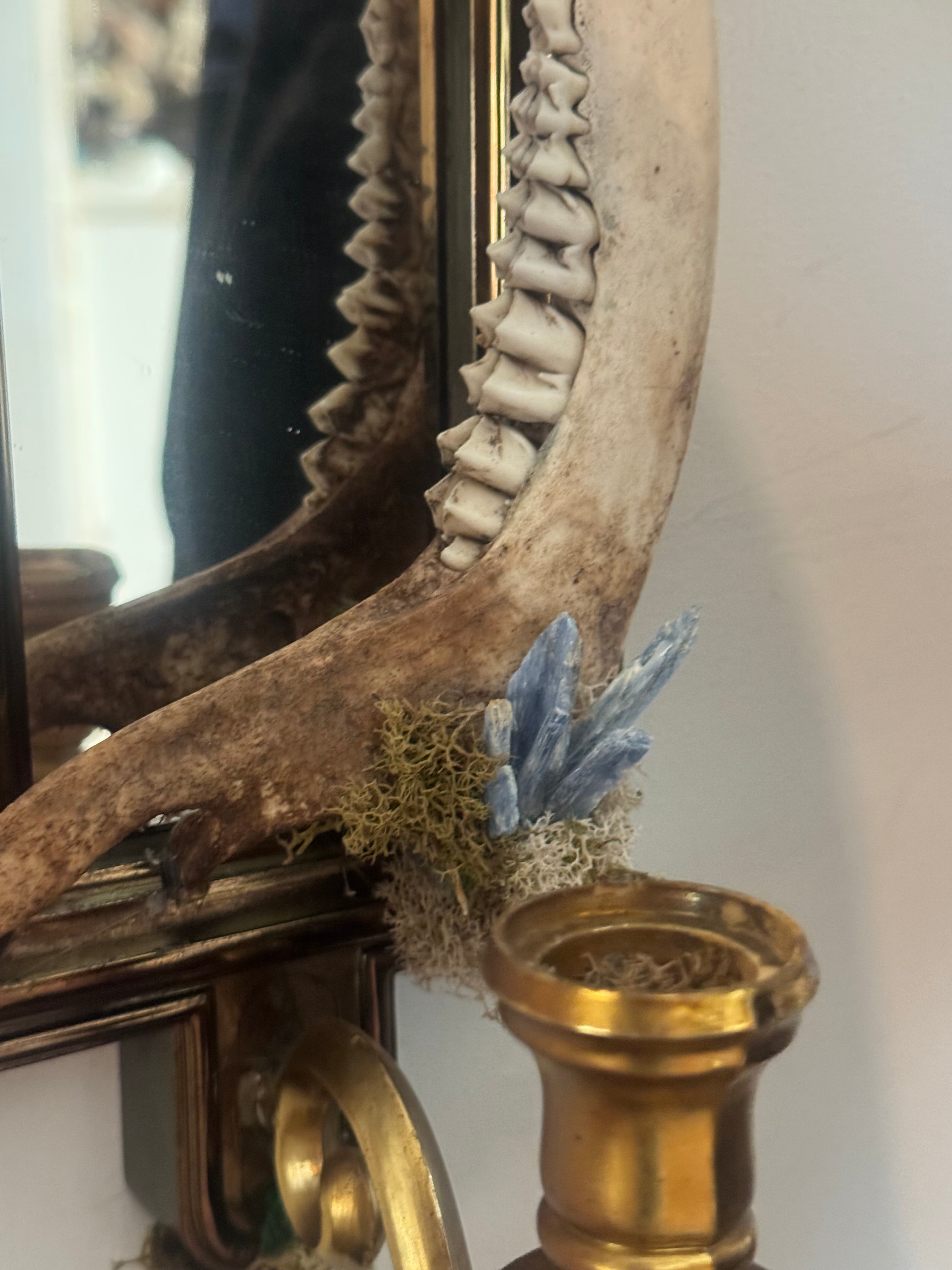 Deer jaw sconce decoration