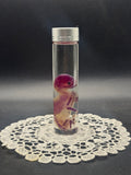 Diaphonized fetal kitten