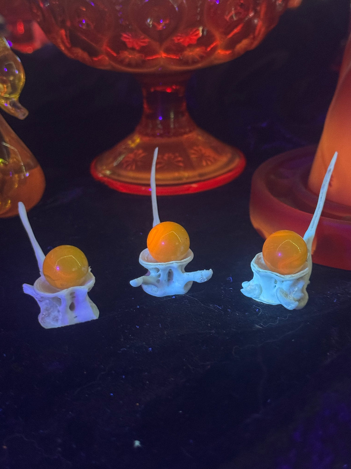Uv reactive marbles with fish vertebrae stands
