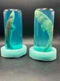 Baby shark dogfish