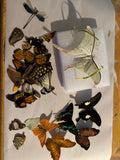 Butterfly/moth craft lot ￼