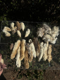 Dried rabbit feet craft grade