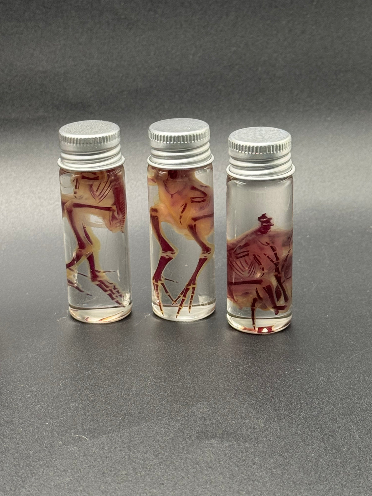 Diaphonized quail body - no head