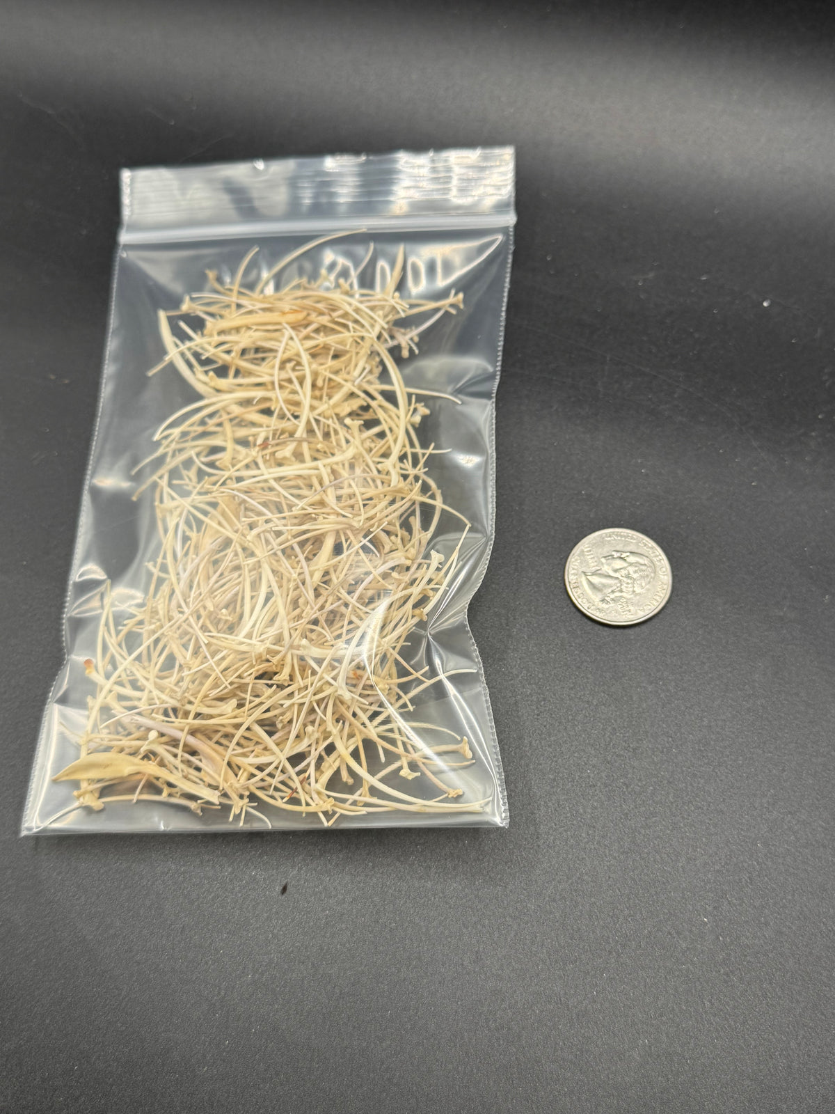 Small snake ribs ~.5oz bag