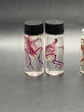 Diaphonized quail body - no head