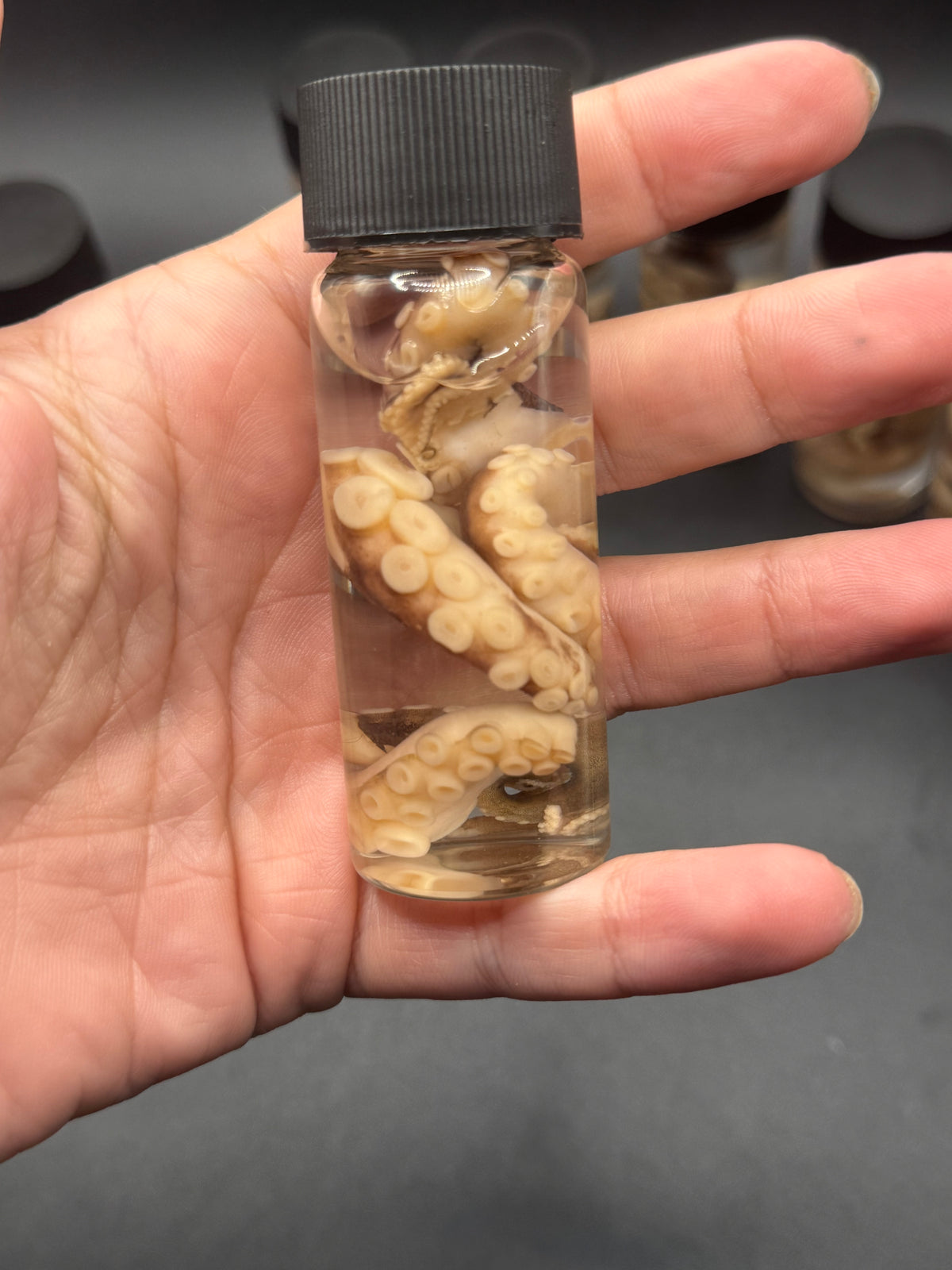Jar O’ tentacles