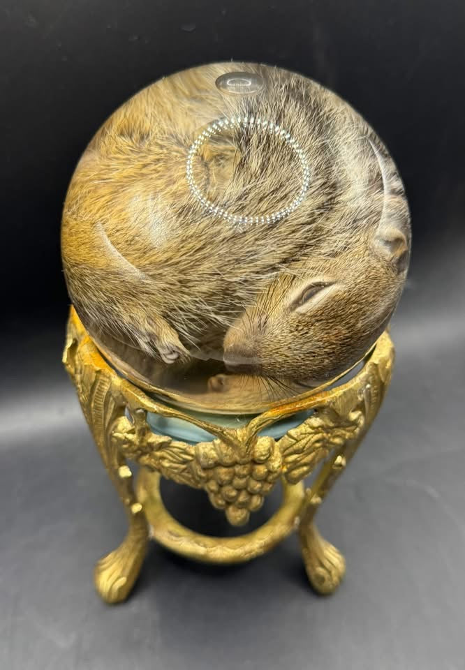 Baby squirrel on vintage brass base