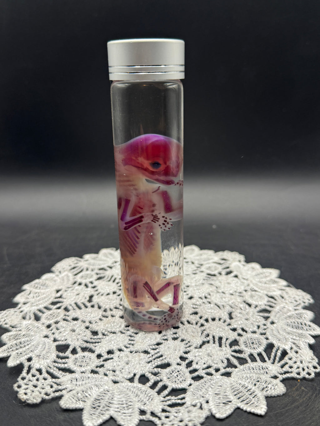 Diaphonized Fetal Kitten (Medium)
