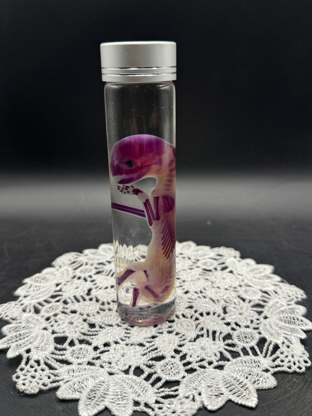 Diaphonized Fetal Kitten (Medium)