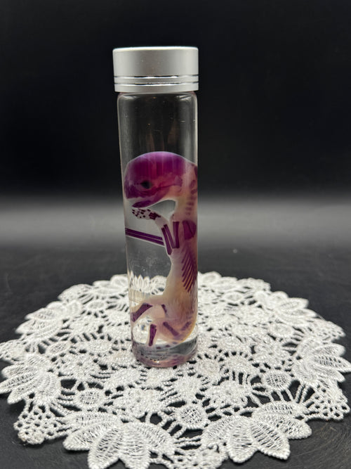 Diaphonized Fetal Kitten (Medium)
