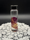 Diaphonized Fetal Kitten (Small)