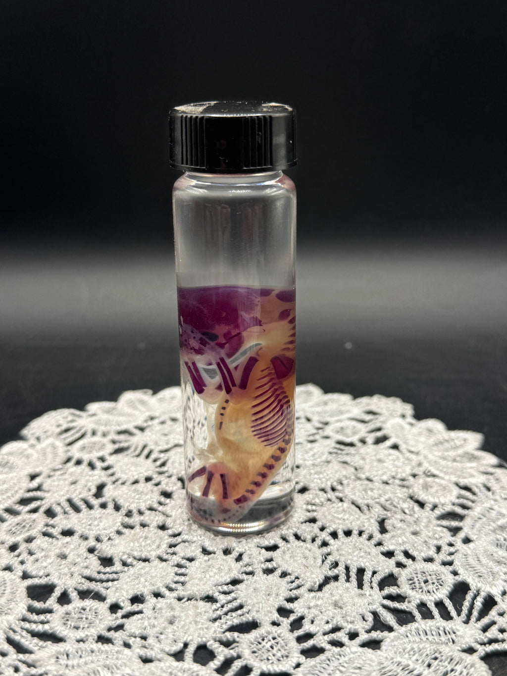 Diaphonized Fetal Kitten (Small)