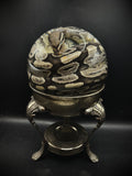 Ball Python w/Stand