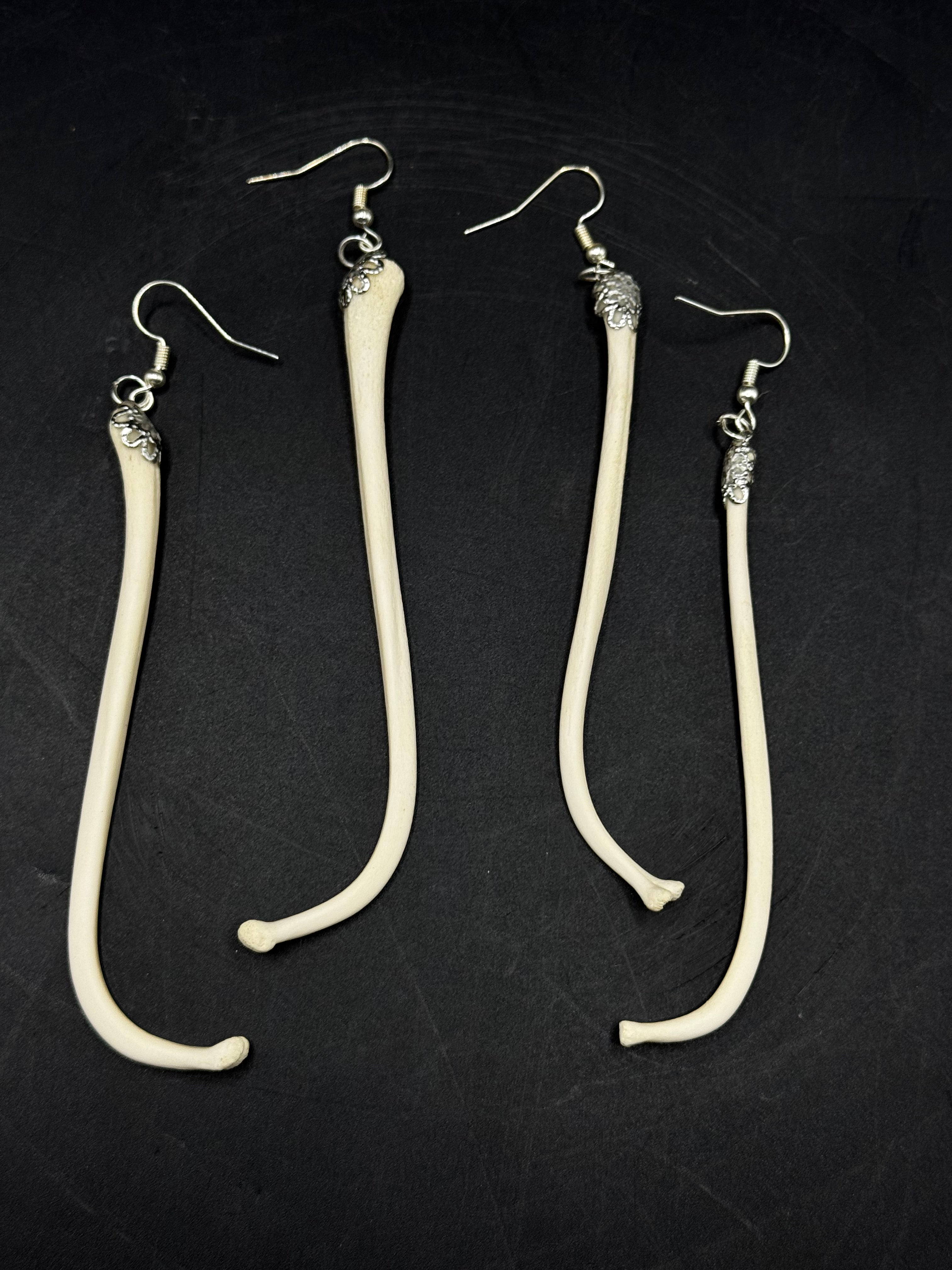 Raccoon Baculum Earrings