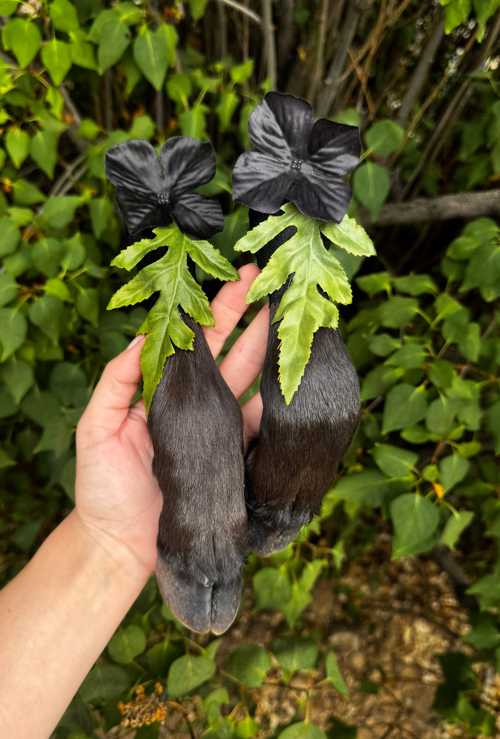 Mummified Calf Feet
