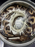 Ball Python