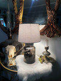 Juvenile Raccoon Lamp (Wet Specimen)